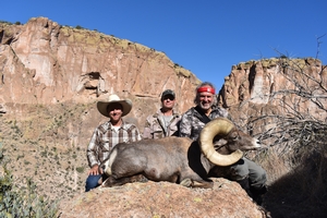 Jim Shockey desert bighorn sheep.